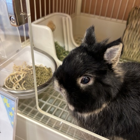 FFF3D463-F00B-4A9C-B594-9A8FE211224F