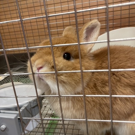 231D2977-41EF-45FB-B007-4A3ED1DA6AA2