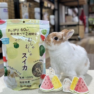 むしゃむしゃすいか : うさぎブログ うさぎのしっぽ公式ブログ「日々
