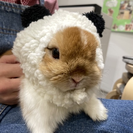 98BAB08A-ECEF-473D-81CD-2D87EDA52272