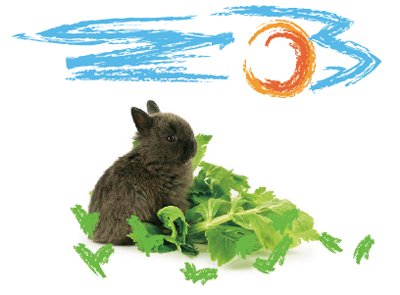 うさぎブログ うさぎのしっぽ公式ブログ 日々しっぽ 11年10月13日 Livedoor Blog ブログ