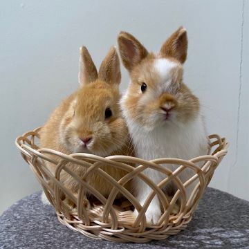 3月ブログ