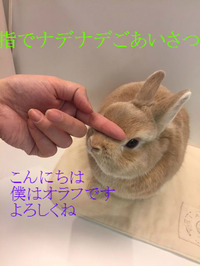 BlogPaint