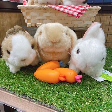 うさぬい2