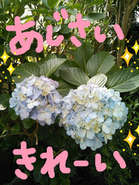 BlogPaint