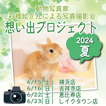 omoide2024-5-1