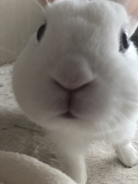 1FD7E334-10A4-44A7-842F-C830774B4264