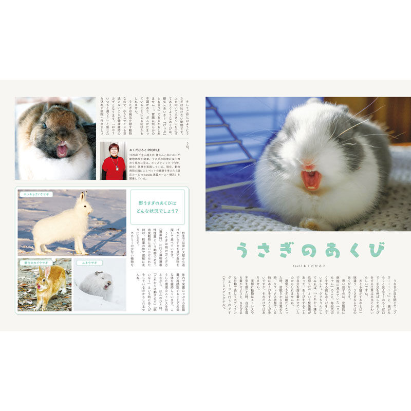 うさぎブログ うさぎのしっぽ公式ブログ 日々しっぽ うさぎと暮らす最新刊