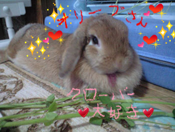 BlogPaint