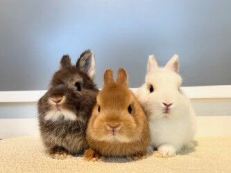 d86ddc04-7775-4230-bdff-923bc60dd66a