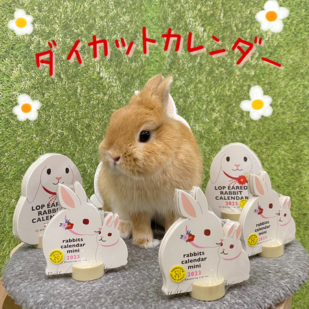 946E43A3-00DA-47B3-B11E-3F6C241C1031