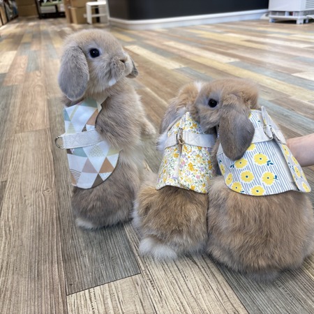 IMG_6367 - コピー - コピー