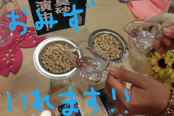 BlogPaint