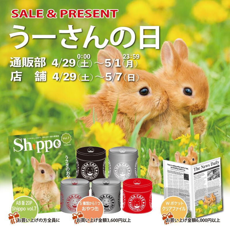 うさぎの耳より情報 No.281 三毛うさぎって？？？ : うさぎブログ