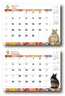 2015tenchou_29