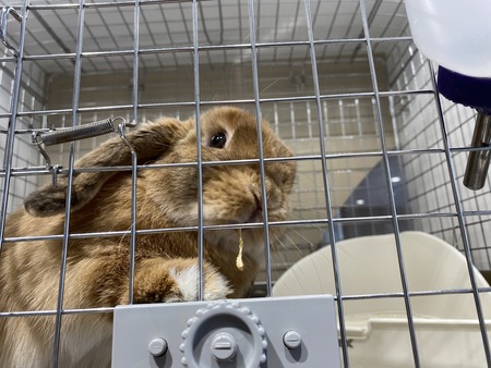 E0662E2A-3434-4066-B1EE-10F4644BA3F7