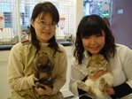DSC01232