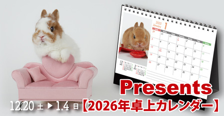 卓上カレンダープレゼント