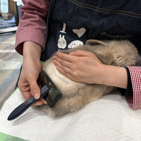 PPorta ソフトスリッカーブラシM