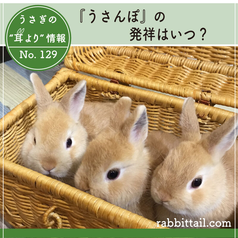 うさぎブログ うさぎのしっぽ公式ブログ 日々しっぽ うさぎの耳より情報 No 129 うさんぽの発祥は うさぎブログ うさぎのしっぽ公式ブログ 日々しっぽ うさぎの耳より情報 No 129 うさんぽの発祥は