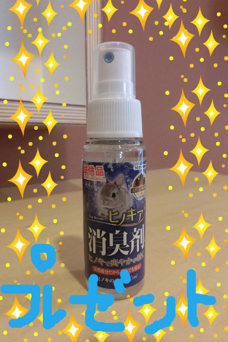 BlogPaint