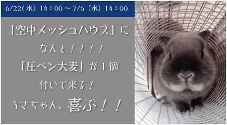 Unknown-3