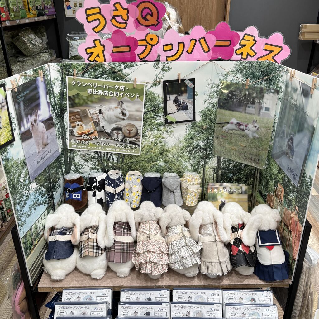 南町田グランベリーパーク店新人の塚澤です！ : うさぎブログ うさぎの
