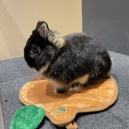 E05CACB2-9DF3-439A-AB42-655F68897967