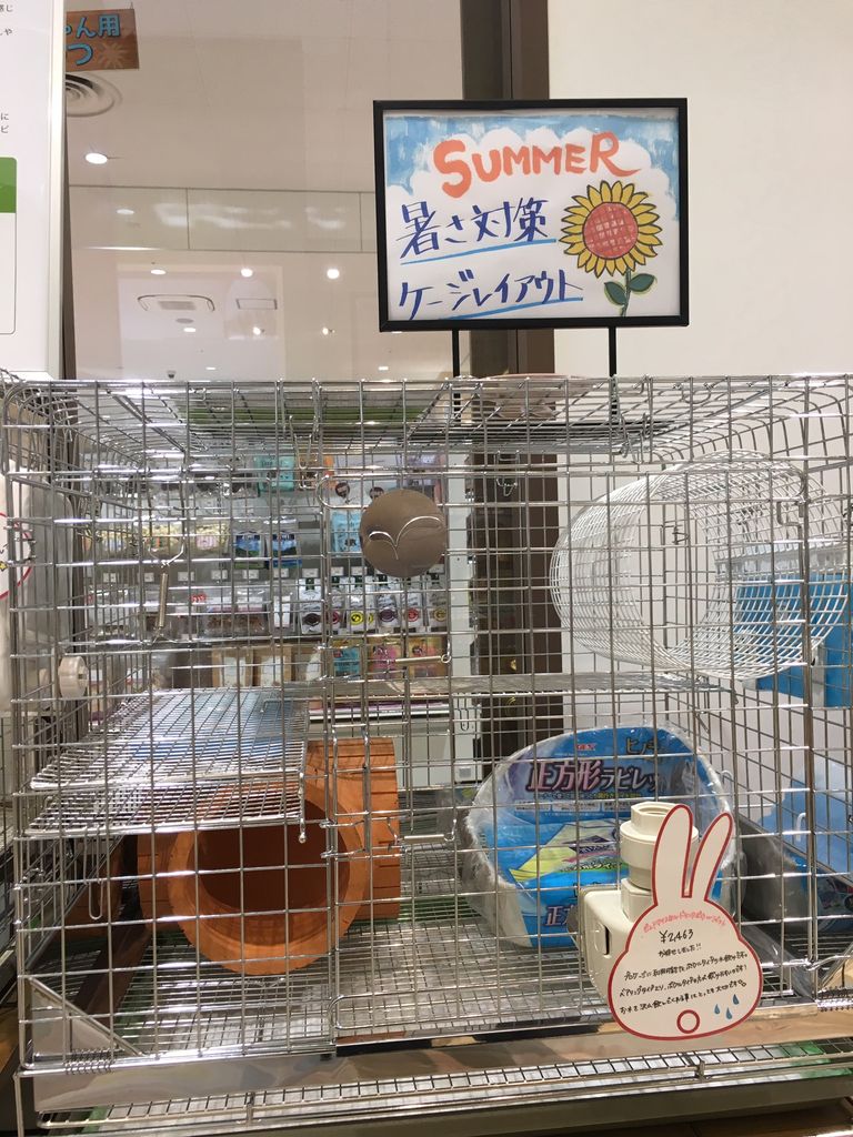 うさぎブログ うさぎのしっぽ公式ブログ 日々しっぽ 19年06月11日 Livedoor Blog ブログ うさぎブログ うさぎのしっぽ公式ブログ 日々しっぽ 19年06月11日 Livedoor Blog ブログ