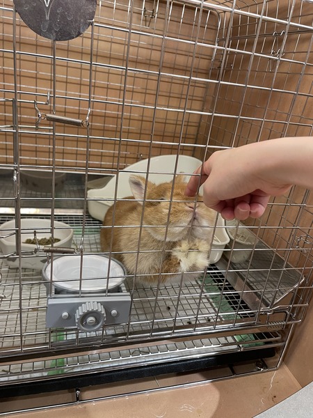 3B25CA20-5E90-40B1-9933-43979BC99B4D