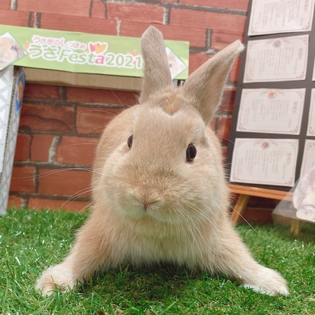 3D6F30B0-30B2-4E8D-8CDF-B6321FCE7B1A