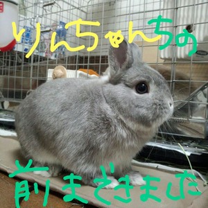 2013-01-21-18-47-04_deco
