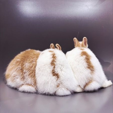 8937