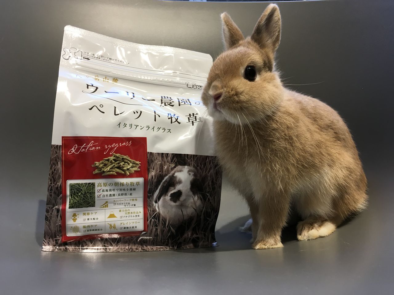 うさぎブログ うさぎのしっぽ公式ブログ 日々しっぽ ペレット牧草イタリアンライグラス発売