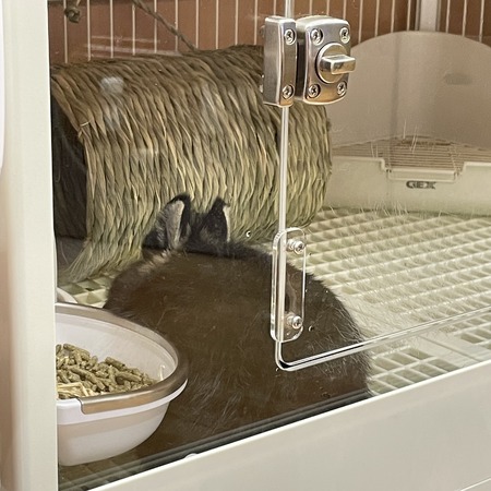 2D570375-66D5-4993-8D82-675359F0DDD4