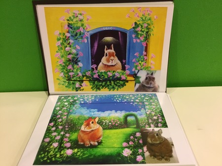 5B52FDD0-6F86-4D45-96AA-3238629B657B