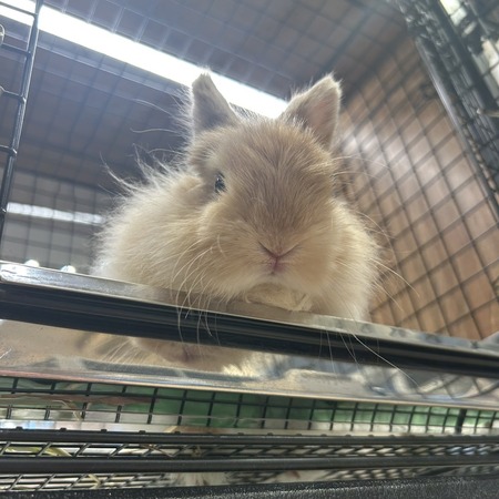 3688b36f-5df7-401f-9b50-2c1228dd4a66