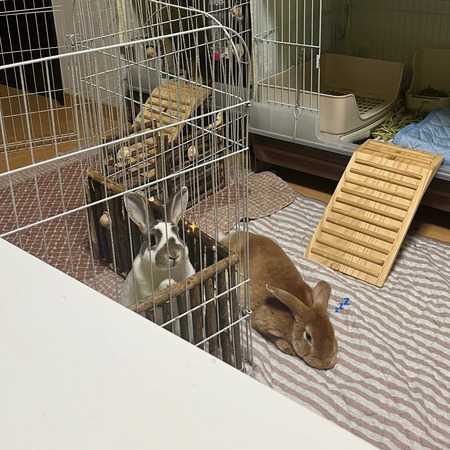 D80710B4-D849-4A50-99B3-9A075B69E139