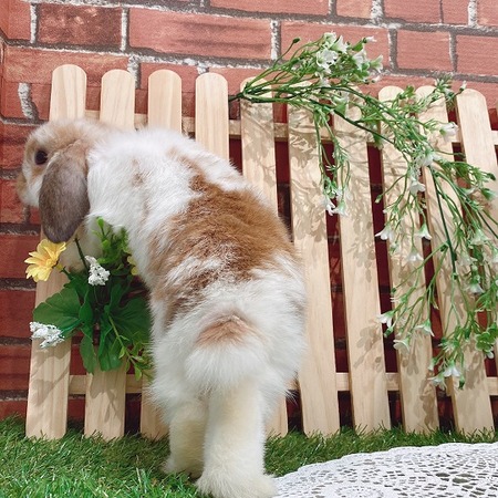 A7719672-AB34-484D-8862-7F8EE5746044