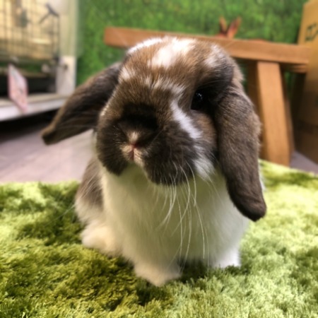 DDBA044E-8C28-4918-835F-2E271A47817F