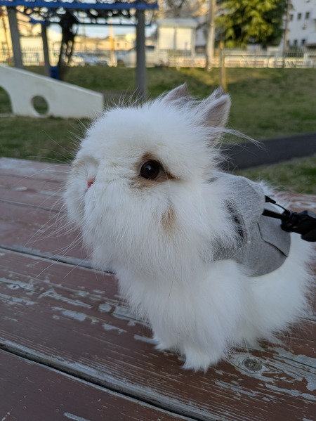 PXL_20250406_081240178