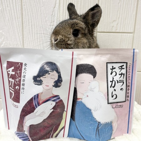 ★うさうさぎ★今夜タイムセール中‼️専用 セールまであと1週間！ : うさぎブログ うさぎのしっぽ公式ブログ