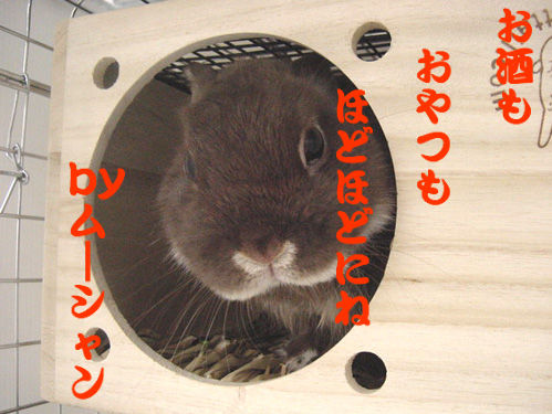 BlogPaint