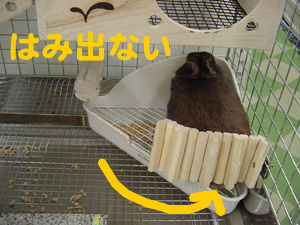 BlogPaint