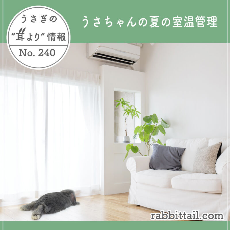 うさぎブログ うさぎのしっぽ公式ブログ 日々しっぽ うさぎの耳より情報 No 240 うさちゃんの夏の室温管理