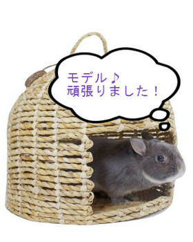 BlogPaint