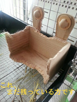BlogPaint