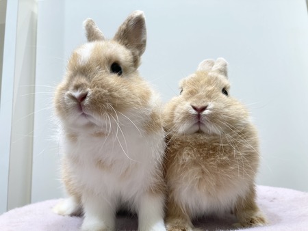 1F3ABE3E-D842-4EC7-9846-7BA51FBF4051