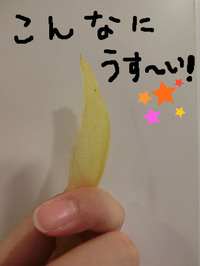BlogPaint