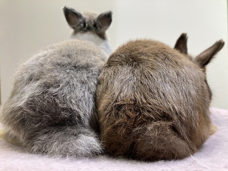 AD58EE48-98F9-4EA0-AFAF-01A315E09A29